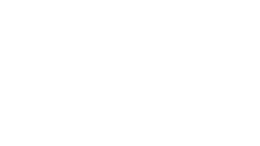 Martyn Express